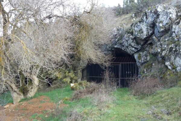 Cueva Allende