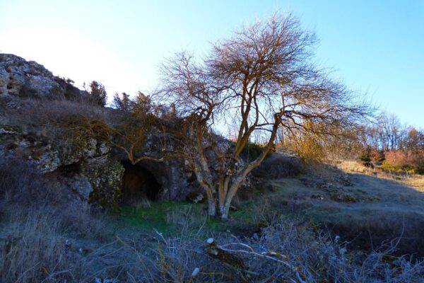 Cueva Allende