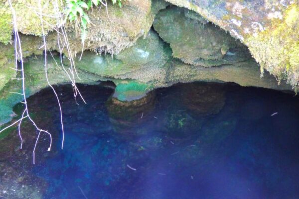 La Fuente Deshondonada