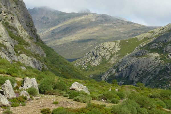 Valle de Pineda